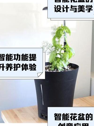 小时候养死仙人掌？智能花盆彻底改变，深度测评五款主流产品