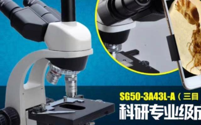 2025年最新款入门级电子显微镜开箱及核心性能测试体验