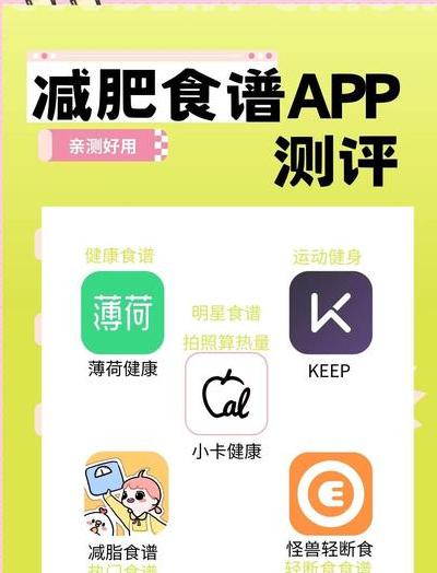深度测评5款主流智能体重秤APP，揭秘数据背后的健康密码