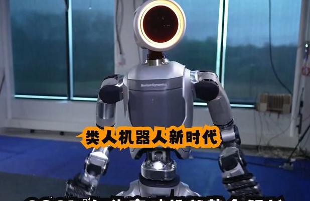 2025年娱乐机器人进化惊人，成家庭娱乐新宠儿