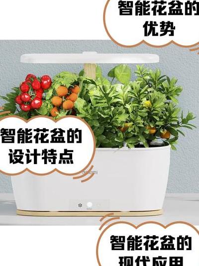 都市快节奏下智能花盆成养花救星，功能、材质大揭秘