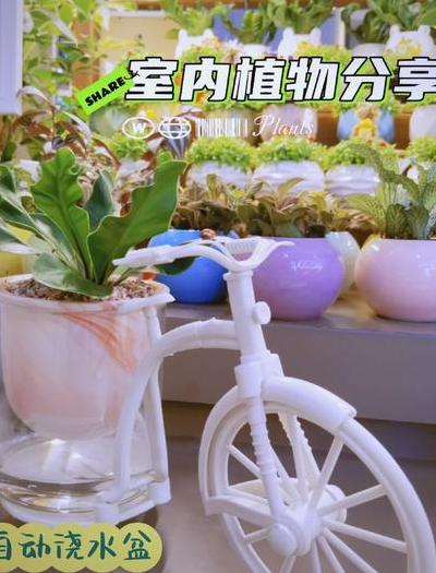 都市快节奏下智能花盆成养花救星，功能、材质大揭秘
