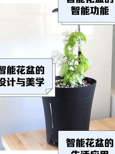 都市快节奏下智能花盆成养花救星，功能、材质大揭秘