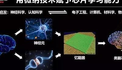 2025年神经拟态计算革新听觉系统，神经密码与芯片大放异彩