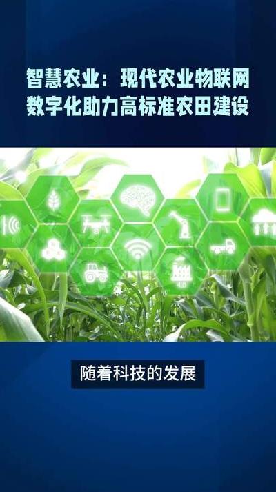数字农业技术引领现代农业革命，物联网等应用成效显著