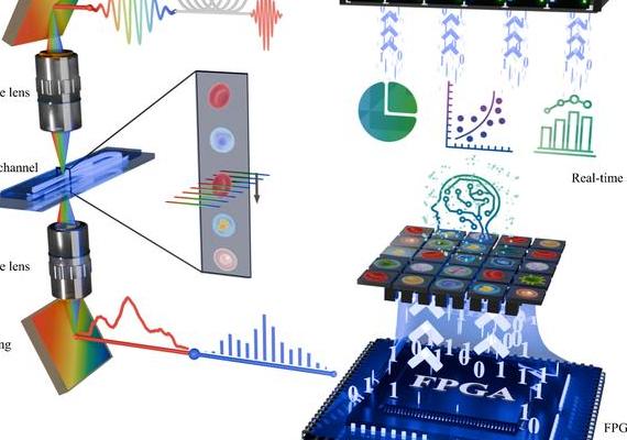 超表面技术：光学领域的革命性突破，重塑光学法则与成像效果
